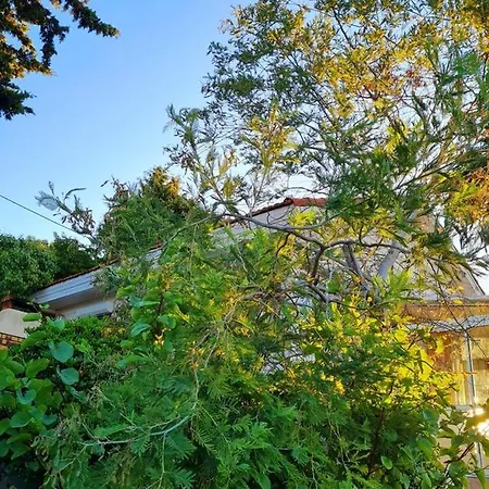 度假居 Maison Accueillante A Avec Vue Sur Le Jardin Et La 塞特港