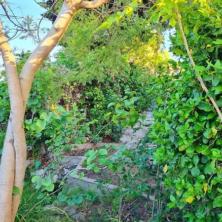 Maison Accueillante A Avec Vue Sur Le Jardin Et La * 塞特港