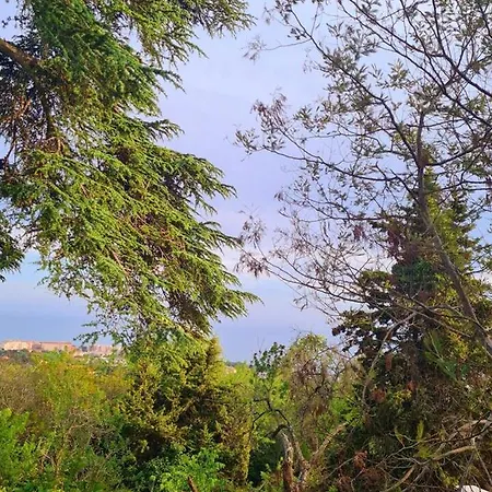 Maison Accueillante A Avec Vue Sur Le Jardin Et La *